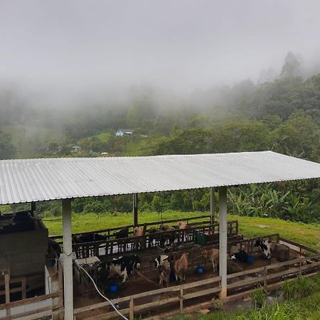 Sitio Hoffmann Pomerode Exterior foto